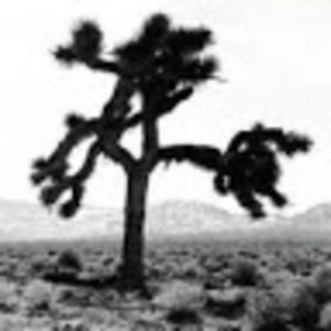 Meet your Posher, Graham